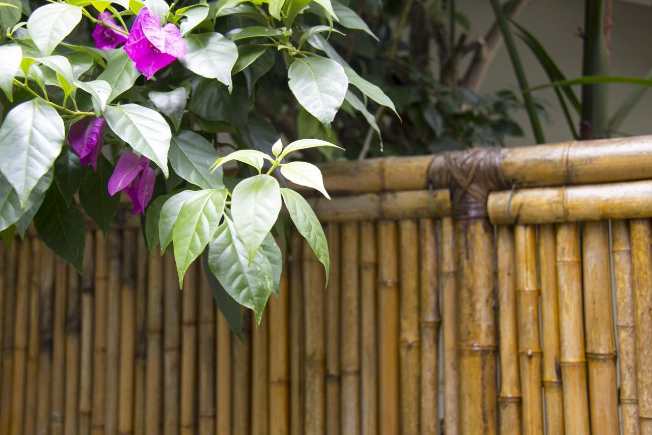 Casa Clara Paraty Exterior foto